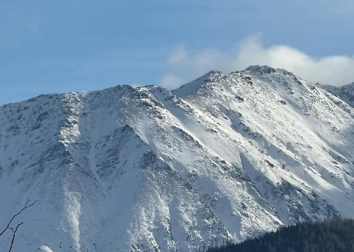 Vista * ザコパネ